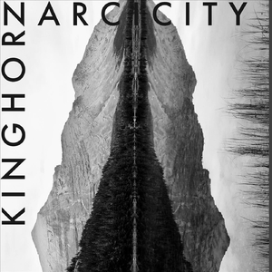 Narcicity