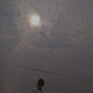 留君遥（Cover：毕然）