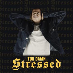 Too Damn Stressed