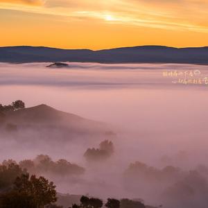 大雾_2022-03-21_203315