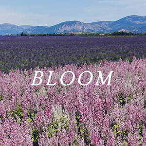 Bloom Glow