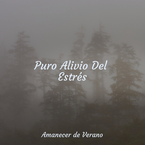 El Borde Encantado del Infinito