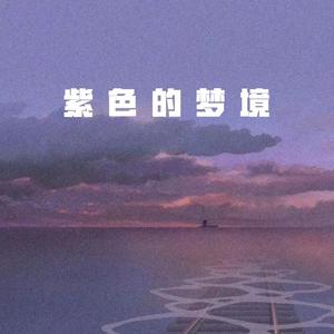 紫色的梦境（prod by. CuD）