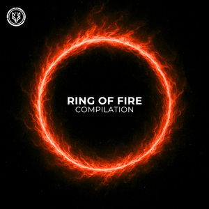 The Loudness (Original mix)