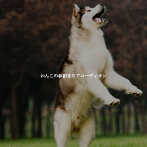 Glorious Music for Balancing Chai