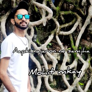 Aapki najaron ne samjha