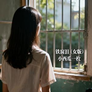 铁窗泪 (女版)