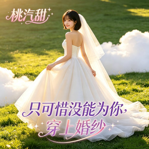 只可惜没能为你穿上婚纱