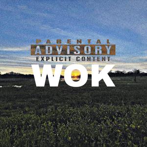 WOK
