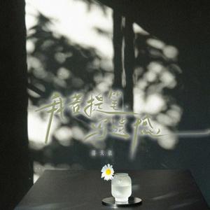 我若提笔写遗憾