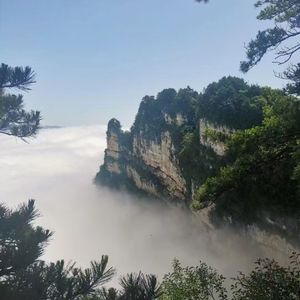 《同骨赴欢》