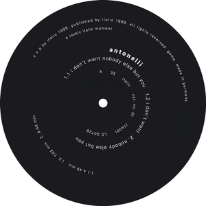 I Don't Want Nobody Else but You