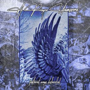 Feathered Wings Disheveled