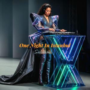 One Night In Istanbul