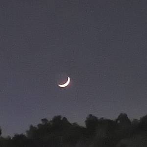 我终于明白（翻唱：星弟）