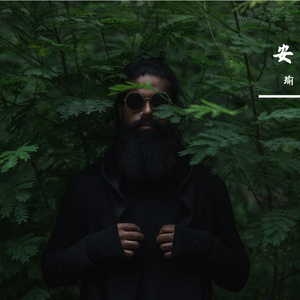 我的名字叫做安