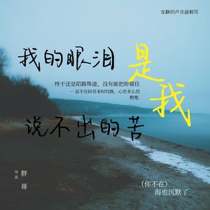 我的眼泪是我说不出的苦