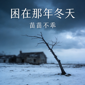 困在那年冬天