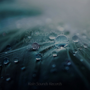 Whispers of the Misty Grove