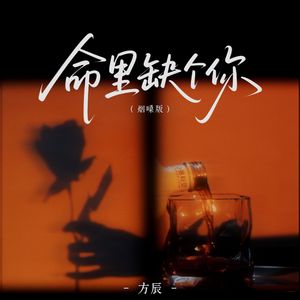 命里缺个你（烟嗓版）