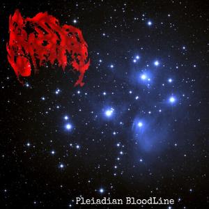 Pleiadian Bloodline
