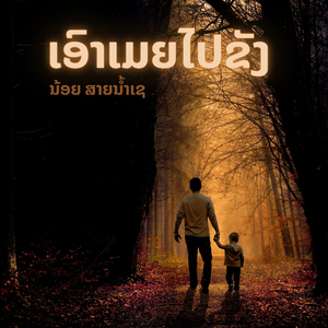 ຮັກສາວໂຄກກາງ