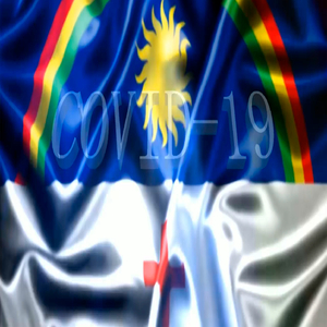 Covid - 19