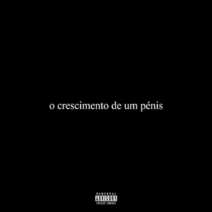 O Crescimento de um Pénis
