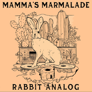 Rabbit Analog