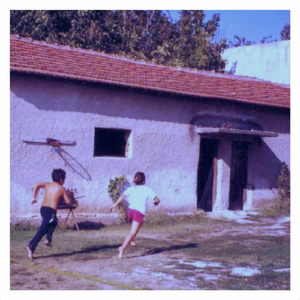 Termite With A Banjo