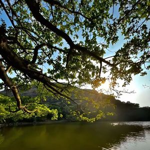 明月下西楼-欣之助