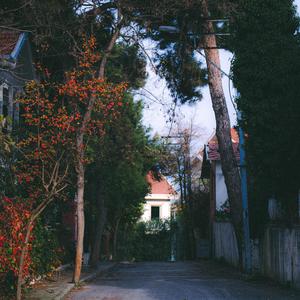 İstesem de - Akustik
