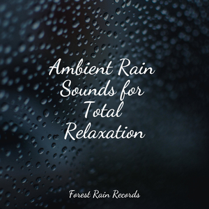 Medium Fire Crackling