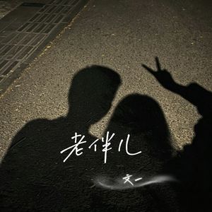 老伴儿