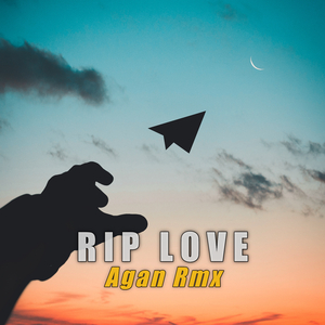 RIP Love (Remix)