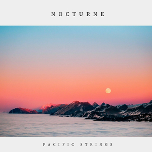 Nocturne Op. 4 No. 2