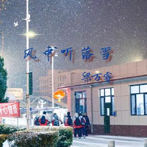 风中听落雪