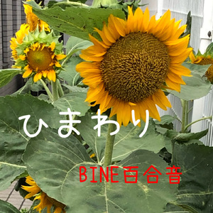 泣いてもいいんだよ