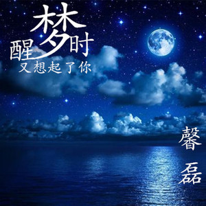 梦醒时又想起你