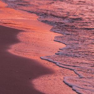 ⅠⅡⅢⅣⅤⅥⅦⅧⅨⅩ㍿▓