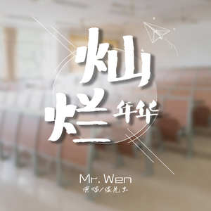 灿烂年华