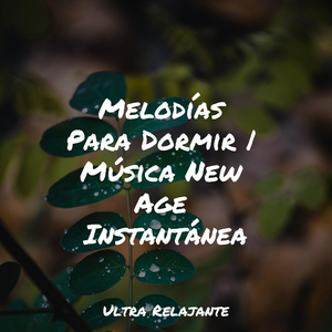 Profundamente Dormido