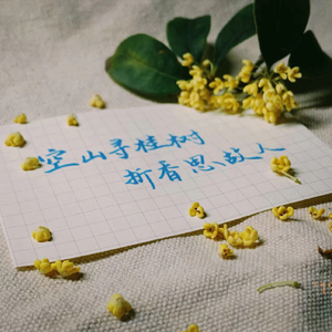 最后一次看不见那些人老去.wav