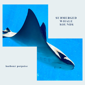 Submerged Whale Sounds