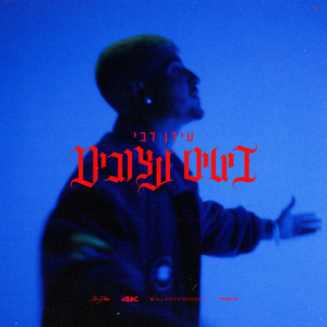 ביטים עצובים