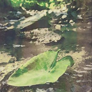 浣溪沙·谁念西风独自凉