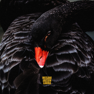 Liquor (feat. Jaeeun, Laura)