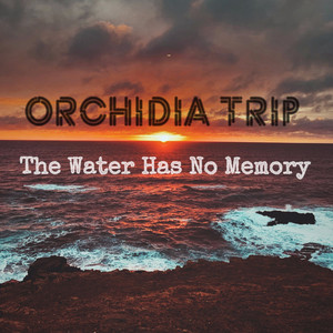 The Water Has No Memory