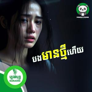 បងមានថ្មីហើយ - ភ្លេងសុទ្ធ