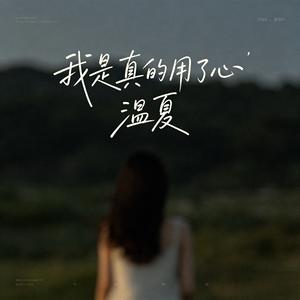我是真的用了心
